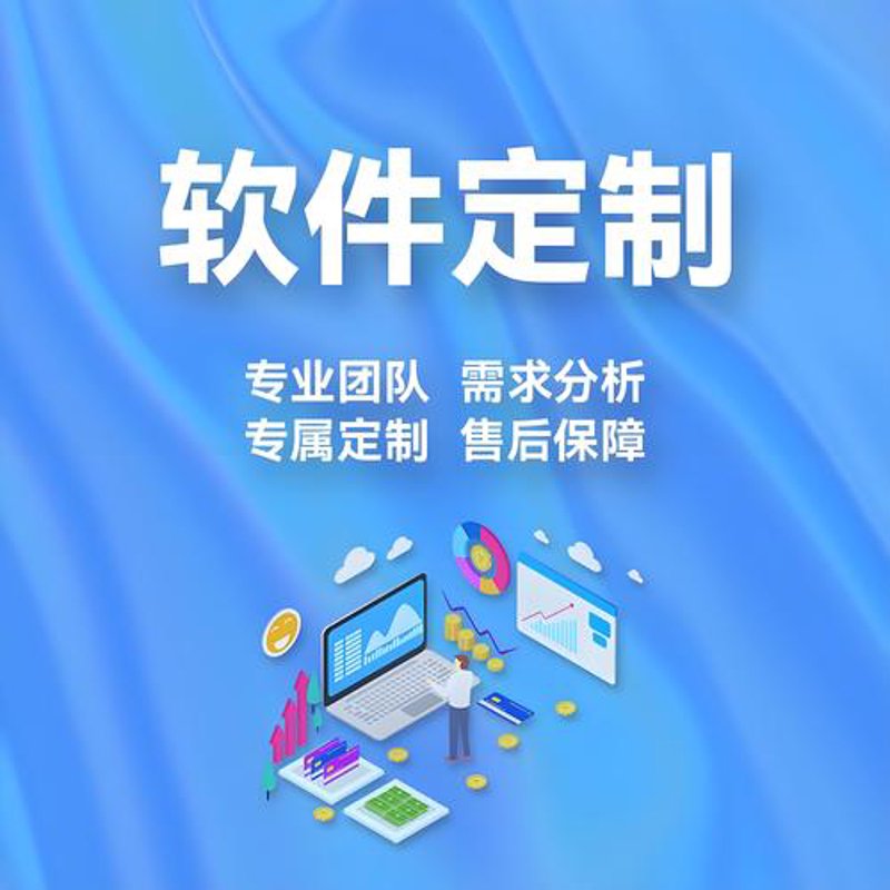 软件定制开发助力行业快速发展